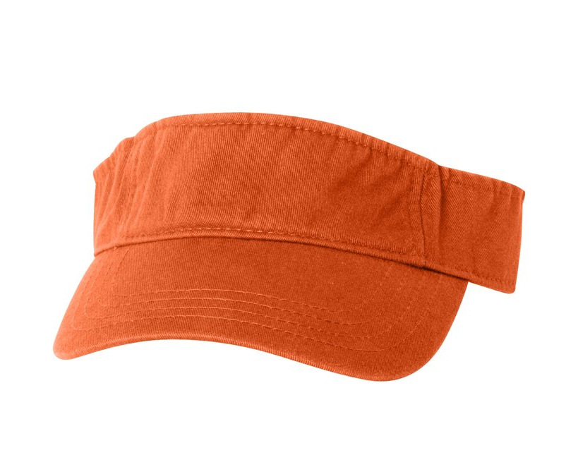 visor15